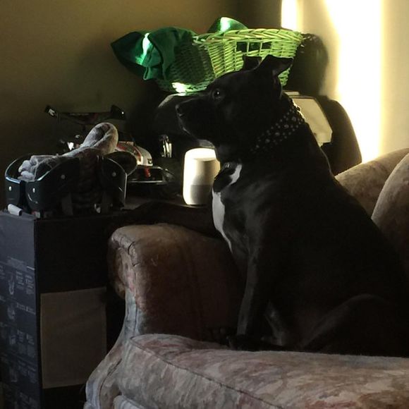 Meet your Posher, Andrew - Picture 1 of 1